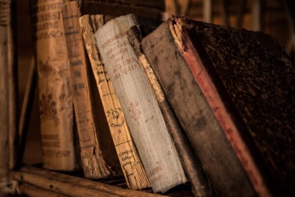 Inovasi Ruang Baca di Perpustakaan Kota Padang untuk Meningkatkan Minat Baca Masyarakat