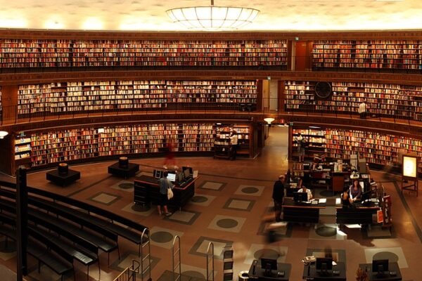 Inovasi Layanan Perpustakaan Kota Padang untuk Meningkatkan Minat Baca Masyarakat